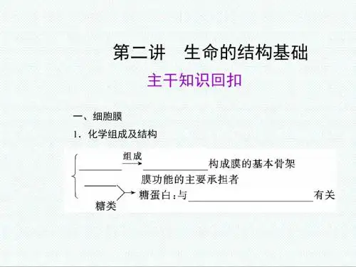 高一生物课件-沪科版高一生命科学第3章《生命的结构基