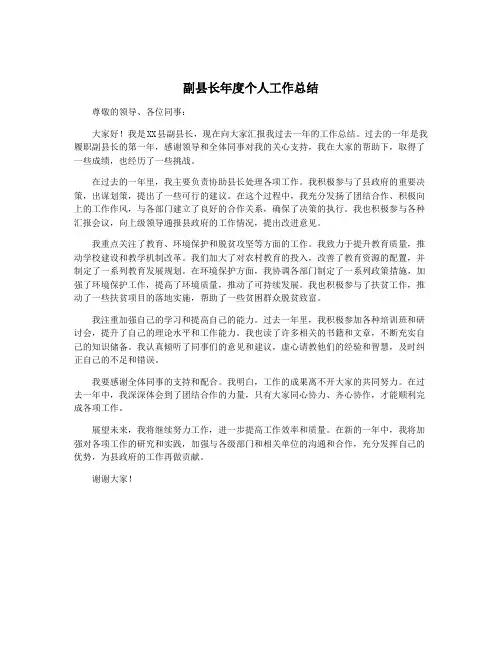 副县长年度个人工作总结