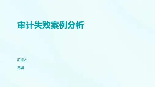 审计失败案例分析
