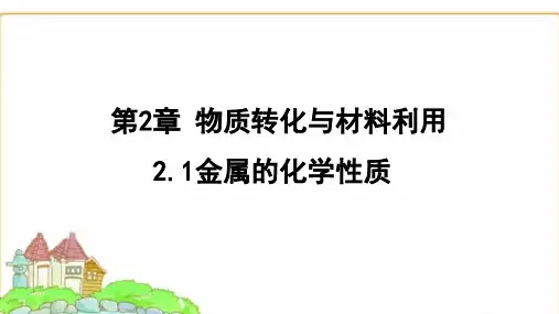 浙教版九年级科学上册2.2.1金属的化学性质课件