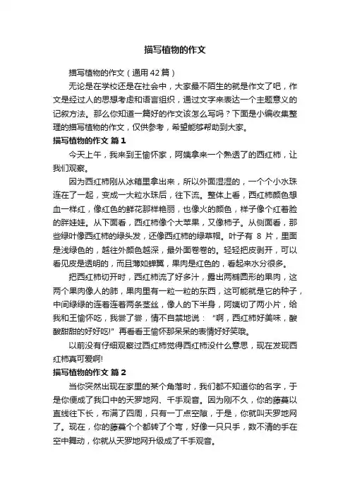 描写植物的作文（通用42篇）
