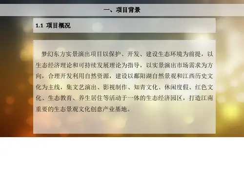 实景演出项目策划方案