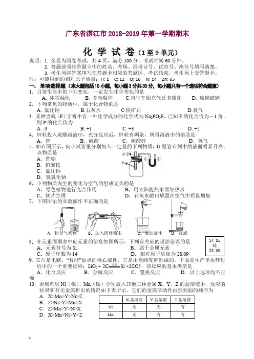 (人教版)2018-2019广东省湛江市年第一学期期末化学考试(1至9单元)及答案 .doc