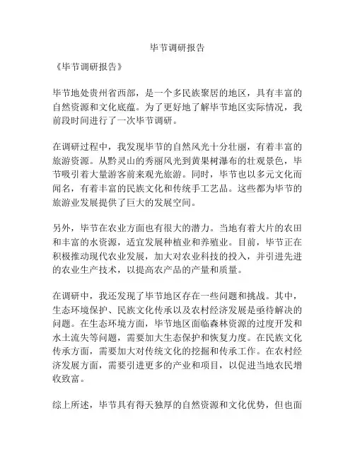 毕节调研报告