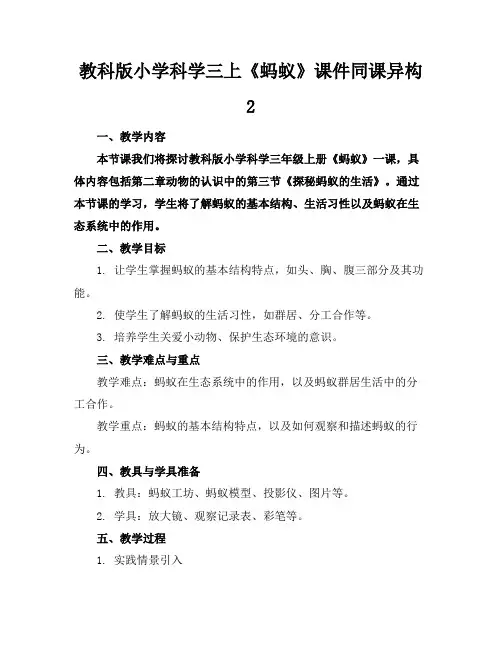 教科版小学科学三上《蚂蚁》课件同课异构2