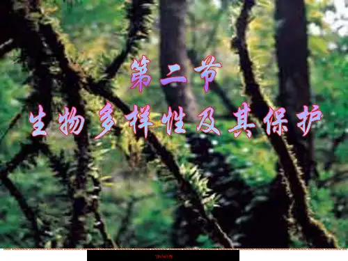 生物的多样性及其保护PPT课件