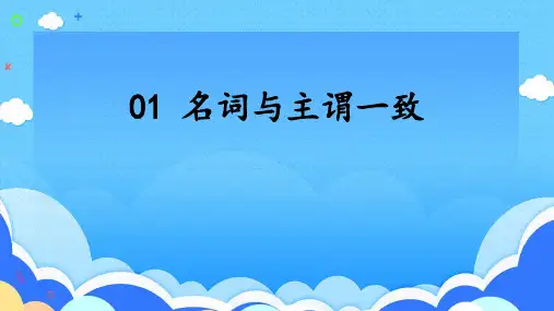 2025年高考英语一轮复习语法能力突破必备课件+01名词与主谓一致