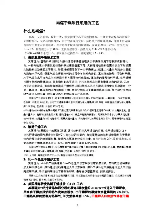 褐煤干燥项目采用的工艺
