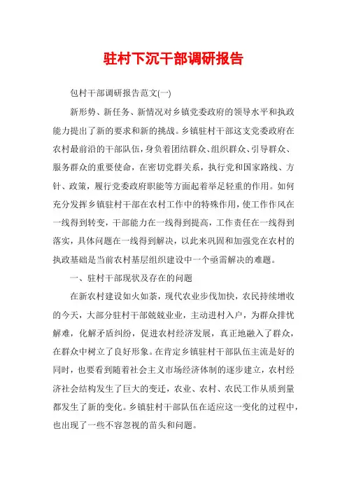 驻村下沉干部调研报告