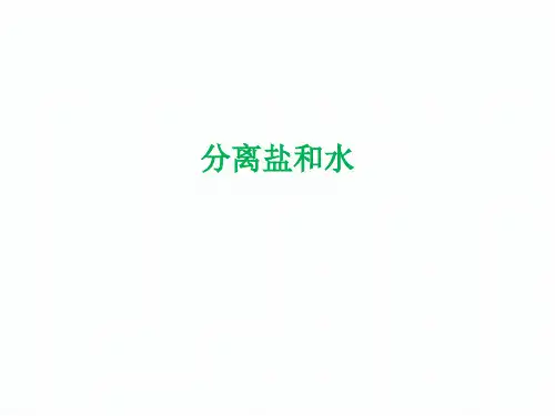 三年级上册科学课件1.7 混合与分离分离盐和水｜教科版