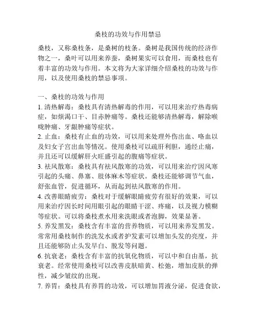 桑枝的功效与作用禁忌