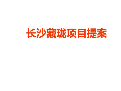 最新长沙地产项目新提案