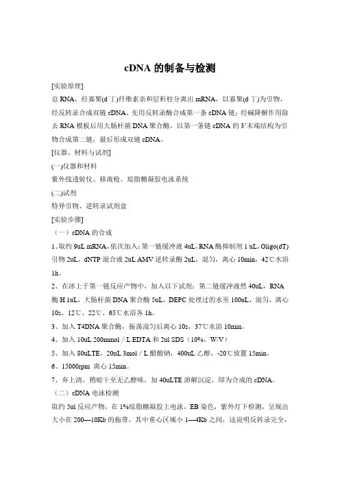 cDNA的制备与检测