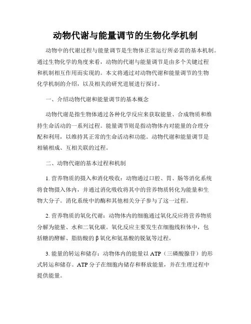 动物代谢与能量调节的生物化学机制