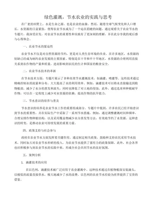 绿色灌溉,节水农业的实践与思考