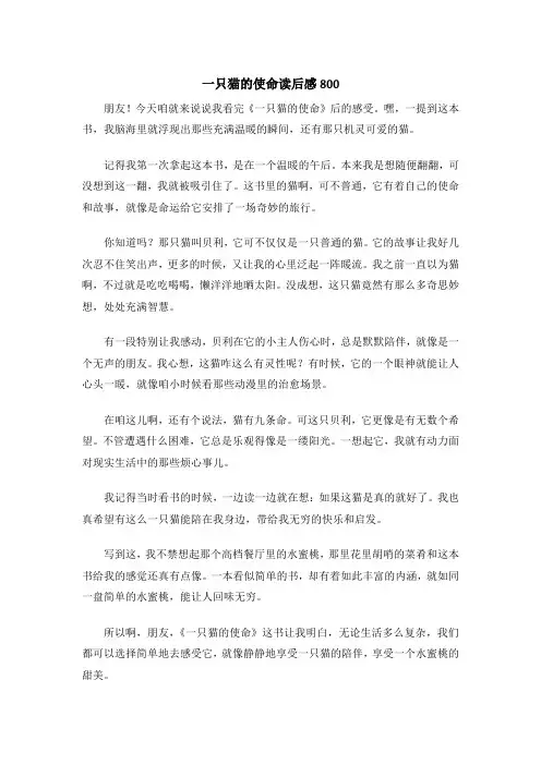 一只猫的使命读后感800