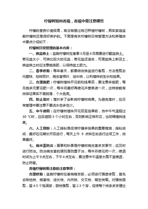 柠檬树如何养殖，养殖中需注意哪些