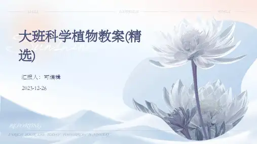大班科学植物教案(精选)ppt