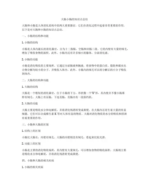 大肠小肠的知识点总结