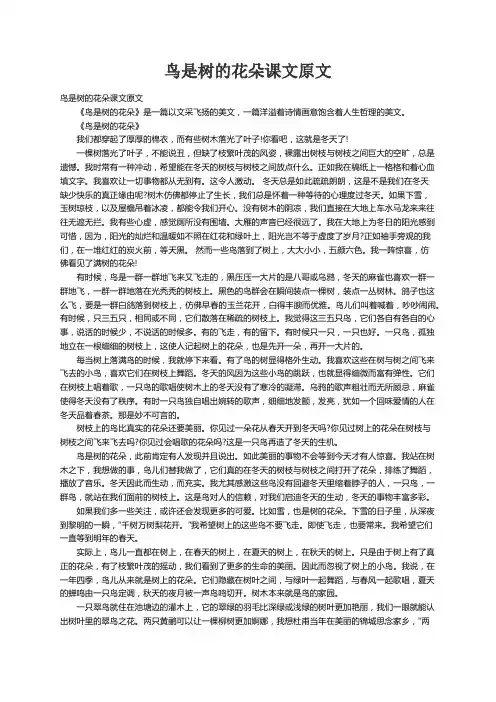 鸟是树的花朵课文原文