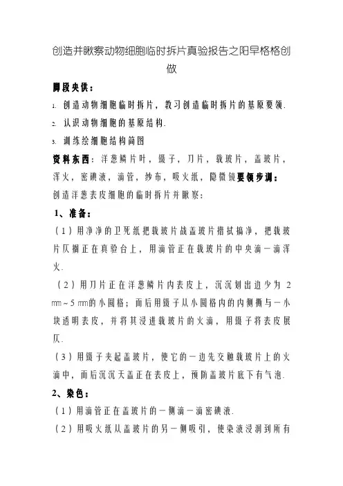 制作并观察植物细胞临时装片 实验报告