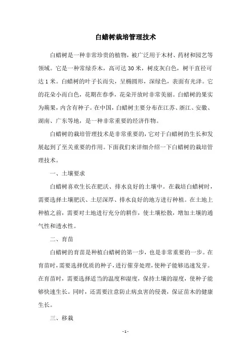 白蜡树栽培管理技术