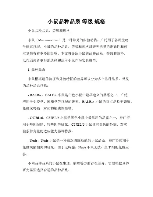 小鼠品种品系 等级 规格
