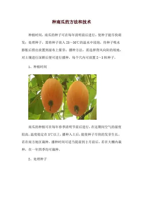 种南瓜的方法和技术