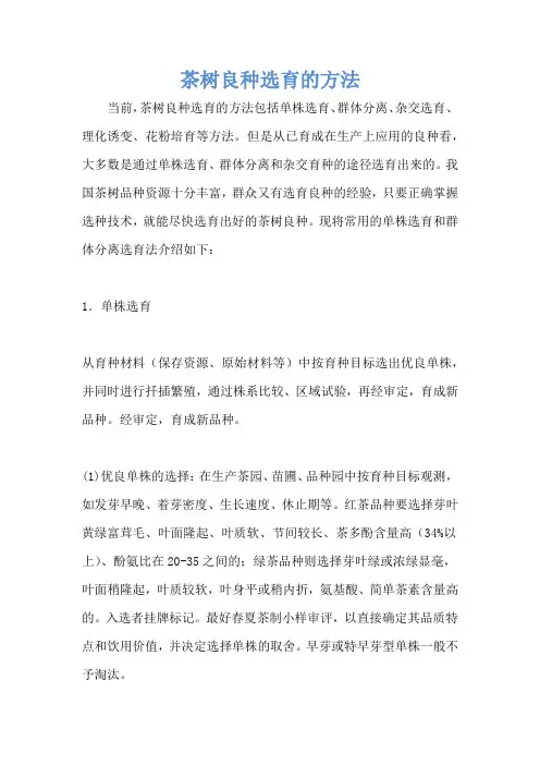 茶树良种选育的方法