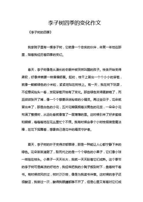 李子树四季的变化作文