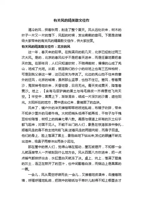 有关风的精美散文佳作