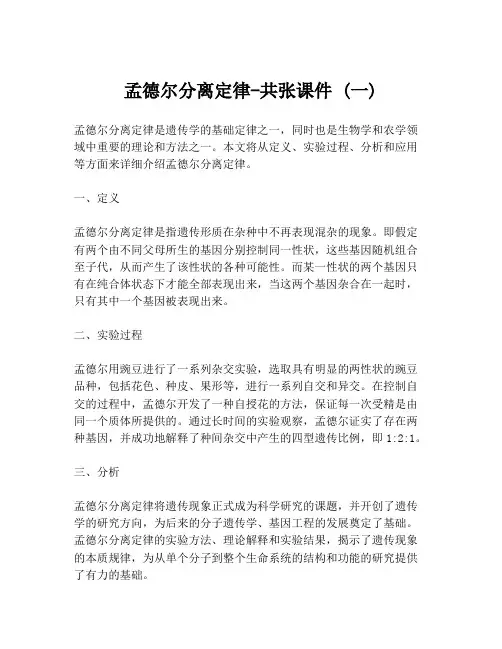 孟德尔分离定律-共张课件 (一)