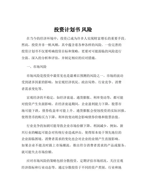 投资计划书 风险
