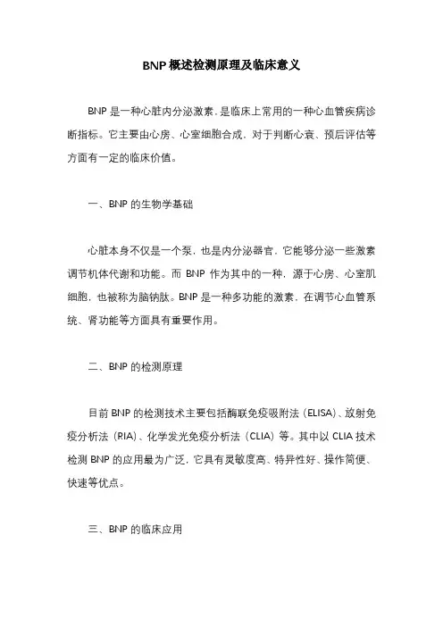 BNP概述检测原理及临床意义