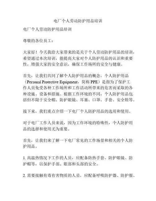 电厂个人劳动防护用品培训