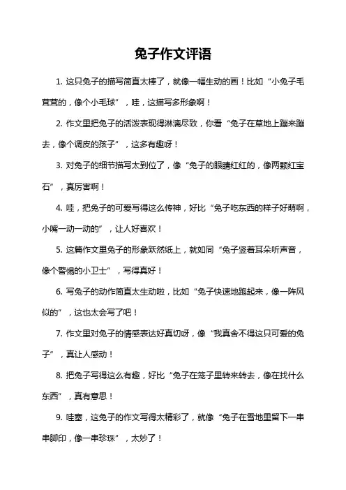 兔子作文评语