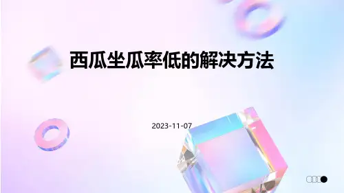 西瓜坐瓜率低的解决方法
