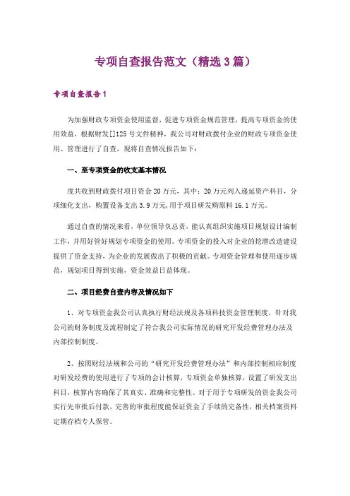专项自查报告范文(精选3篇)