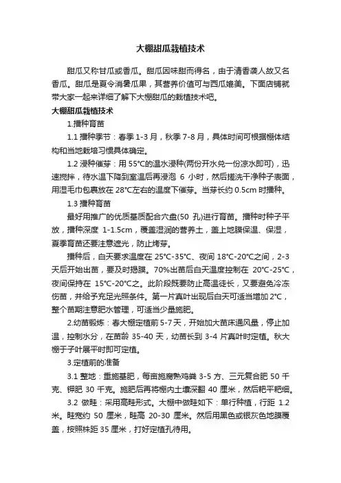 大棚甜瓜栽植技术
