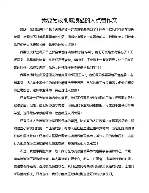 我要为救助流浪猫的人点赞作文