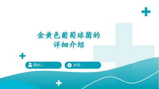 金黄色葡萄球菌的详细介绍