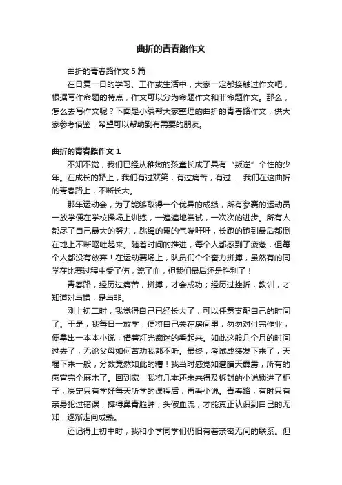 曲折的青春路作文