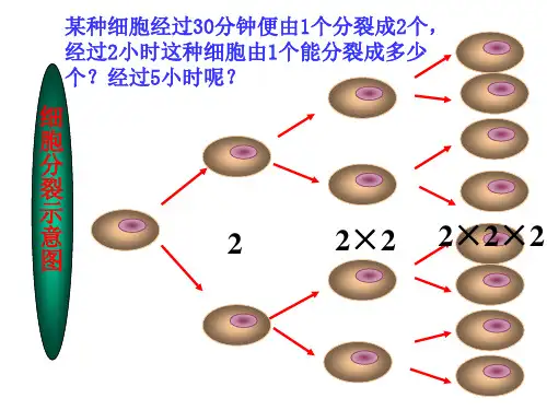 有理数的乘方2(PPT)5-2
