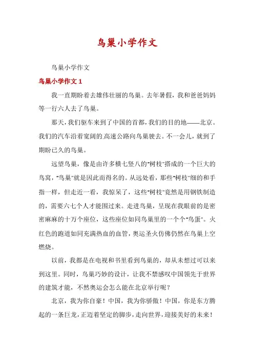 鸟巢小学作文