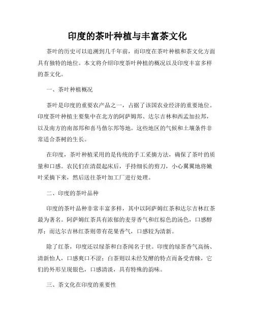 印度的茶叶种植与丰富茶文化