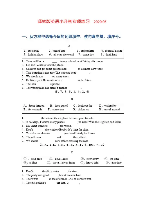 2020年小升初英语专项练习含答案
