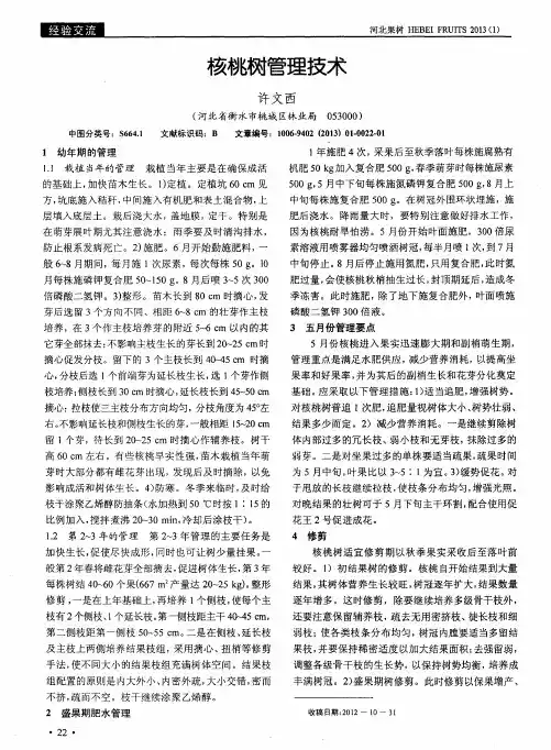 核桃树管理技术