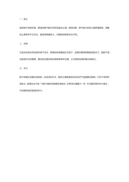 栀子树怎么养殖方法和注意事项