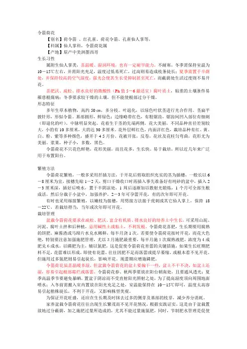 令箭荷花