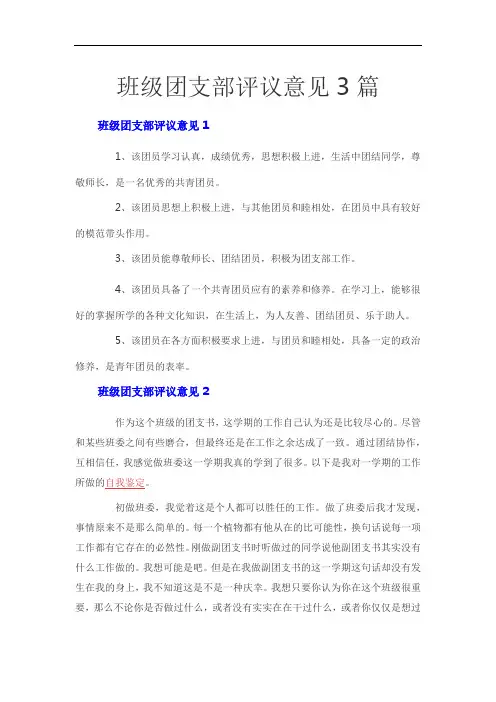 班级团支部评议意见3篇